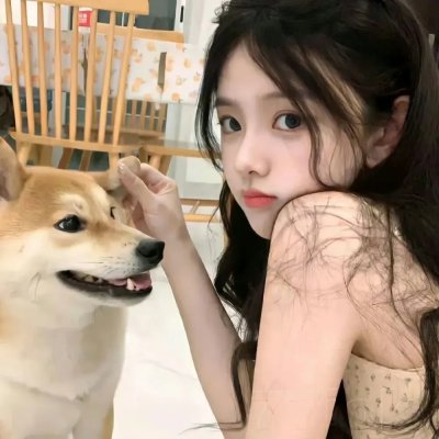金装律师第八季